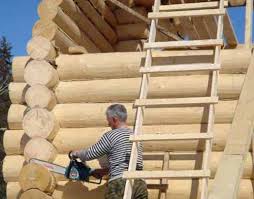Как выбрать деревянный дом для строительства на загородном участке – основные принципы от профессионалов