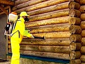 Как спасти свой деревянный дом от воздействия плесени